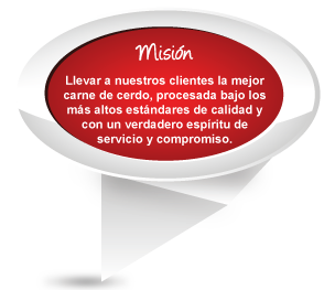 mision